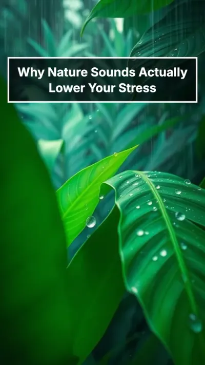 Why Nature Sounds Actually Lower Your Stress
